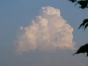 Cumulus mediocris