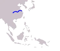 Natural range of Lipotes vexillifer