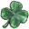 Four-leaf clover