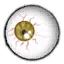 Ornithosaur eye