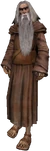 an Elder Druid