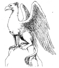 A griffin from Wiedźmin: Gra Wyobraźni PnP RPG. Illustration by Jarosław Musiał