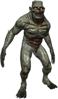 Alghoul