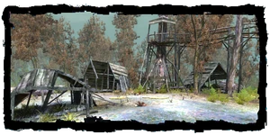 the camp