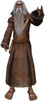 Eldest Druid