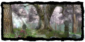 Tree of Life