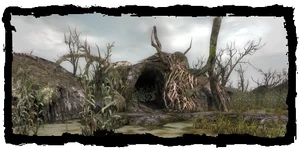 Druids' cave