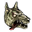 Barghest skull
