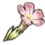 Verbena