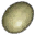 Wyvern egg