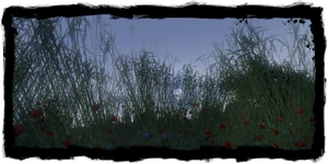 Fields at night