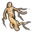 mandrake