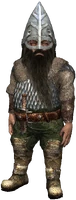 a Scoia'tael warrior