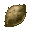 Pachyrhizus }}