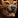 Imagen:IconSmall_Bear.gif