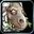 Image:Nature Polymorph 32px.jpg