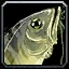image:inv_misc_fish_28.png