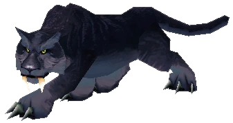 Black "Panther"