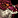 Image:IconSmall SpawnViolet.gif