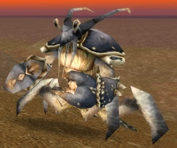 Image of Makrura Snapclaw