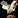 Image:IconSmall Chicken.gif
