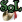 File:Icon-sol-22x22.png