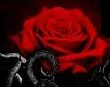 Deathrose