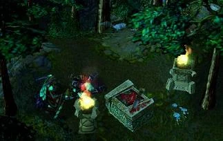 The Night Elf priestess being reincarnated into the child at the altar