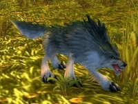 Image of Mangy Wolf