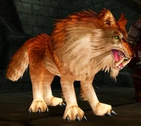 Image of Scarshield Worg