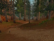 Webwinder Path