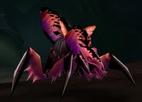 Image of Soriid the Devourer