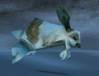 Image of Fluffy