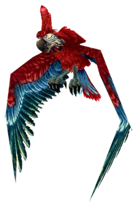 Image of Parrot