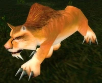 Image of Feral Mountain Lion