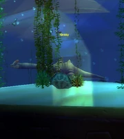 Nessy