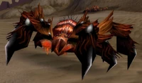 Image of Sand Skitterer