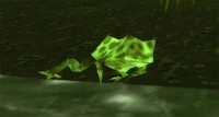 Image of Toad