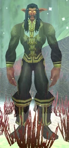 Image of Elder Nightwind