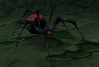 Image of Night Web Matriarch