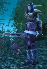 Image of Sentinel Leader