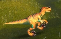 Image of Highland Strider
