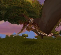 Image of Windroc