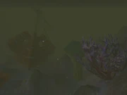 Ships sunken on the Drowned Reef