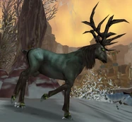 Image of Blighted Elk