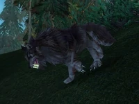 Image of Mottled Worg
