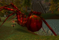 Image of Shadra