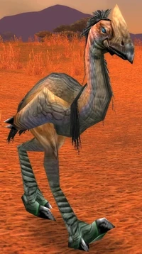 Image of Greater Plainstrider