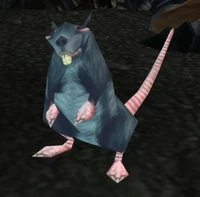 Image of Fjord Rat