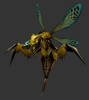 Zora